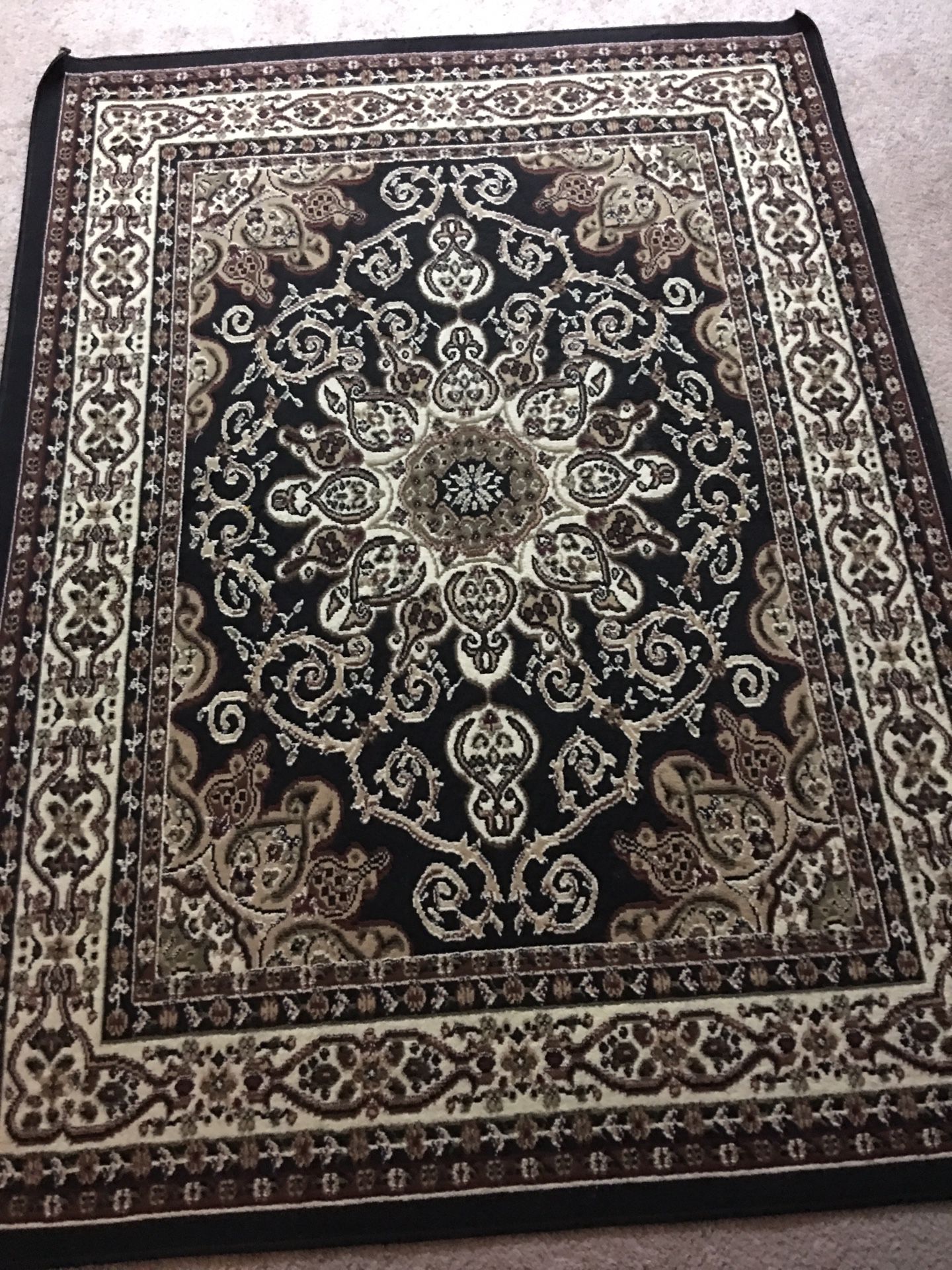 Area rug in great condition.