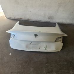 17-22 Tesla Model 3 Trunk Lid Oem 