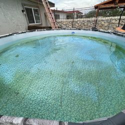 Swimming Pool Vacuum !