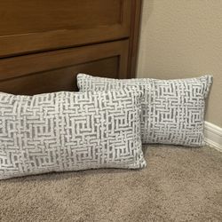 2 west elm Pillows In Gray And White 