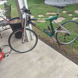 Pro Flex Beast Vintage Mtn Bike