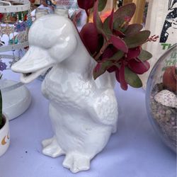 Ceramic Planter With Unique Succulent Plants 