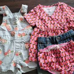 Baby Girl Toddler Clothes Size: 12 Months 5 Pcs
