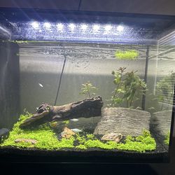double fish tanks and accessories. 