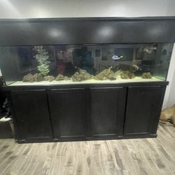 Large Aquarium Saltwater Ready  Glass Used 