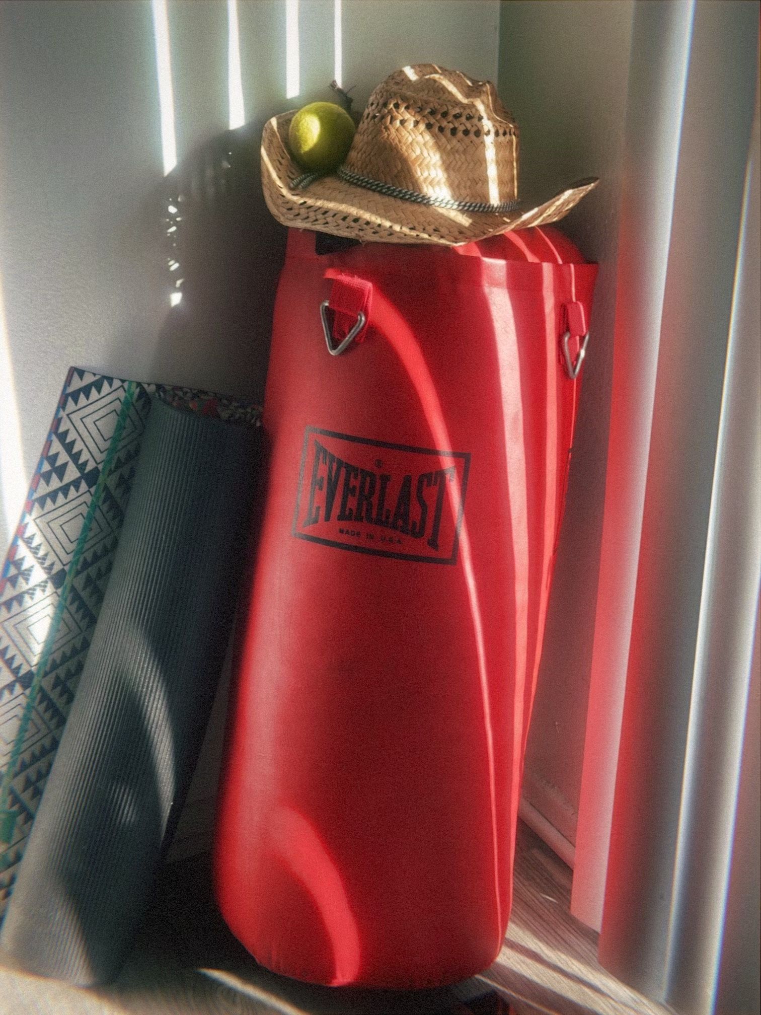 OBO Everlast Punching/Boxing Bag