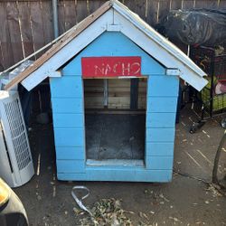 Dog House 