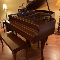 Baby Grand Piano Chickening
