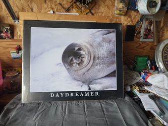 Cute Seal Daydreamer Poster 16"x20"