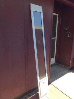 Doggy door