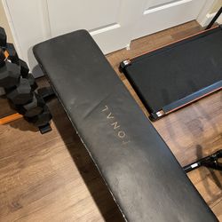 Exercise Bench 