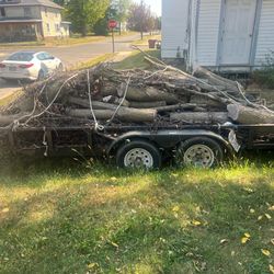 2007 Prostar 16ft Trailer 