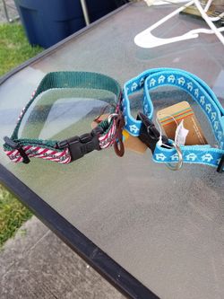 Large dog collars
