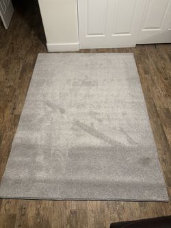 5x7 Area rug