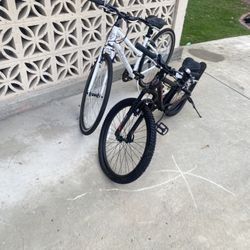 2 Bike Youth Mountain 