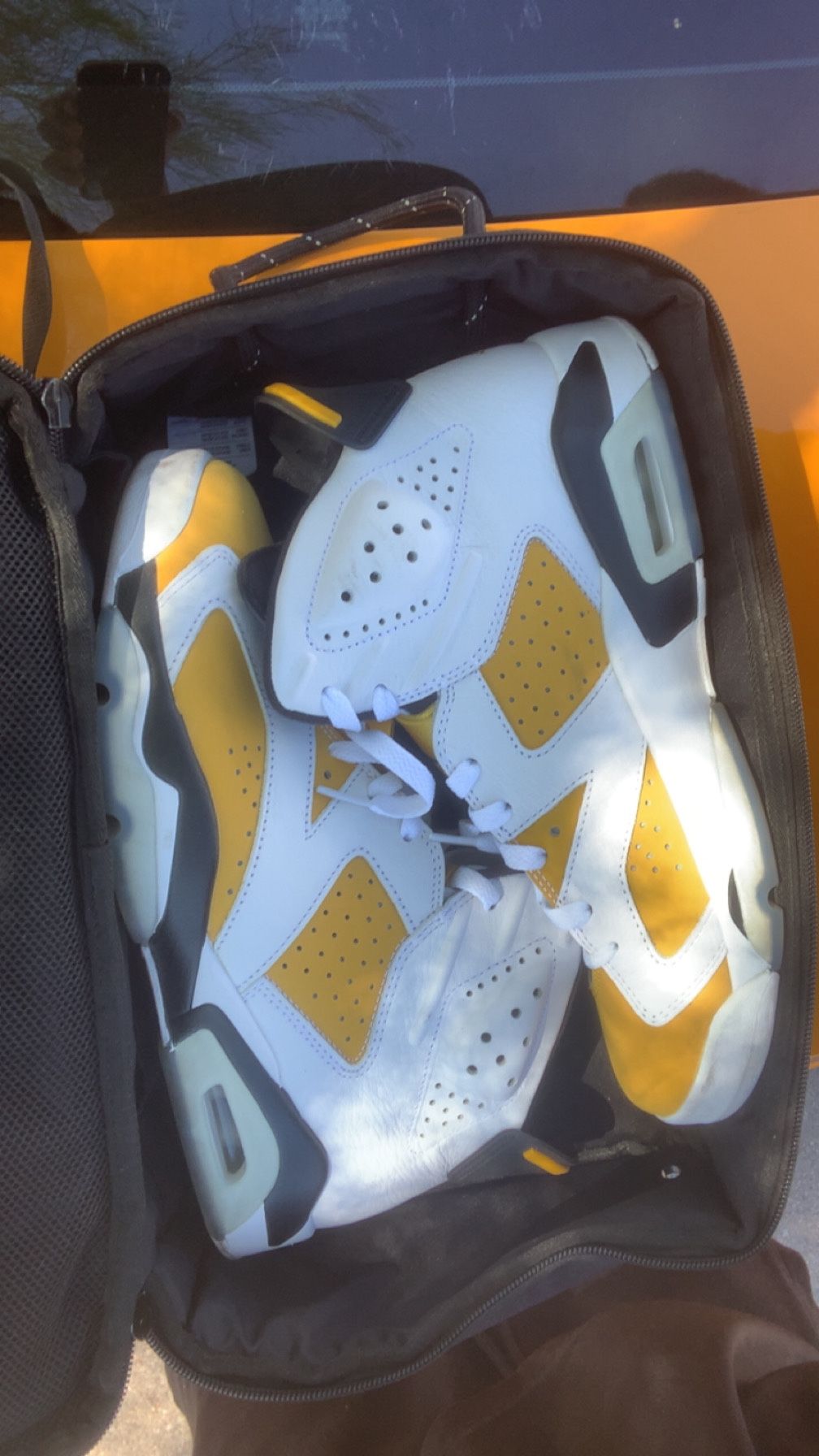 Jordan 6s