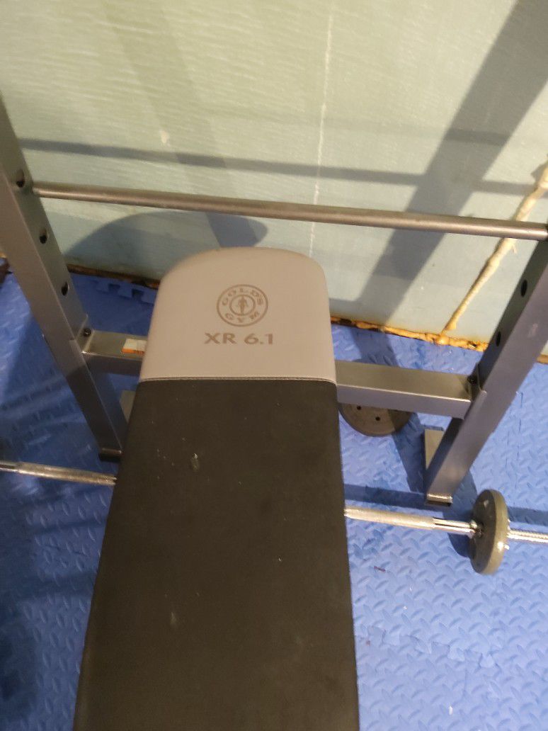 Gym Exercise Equipment 