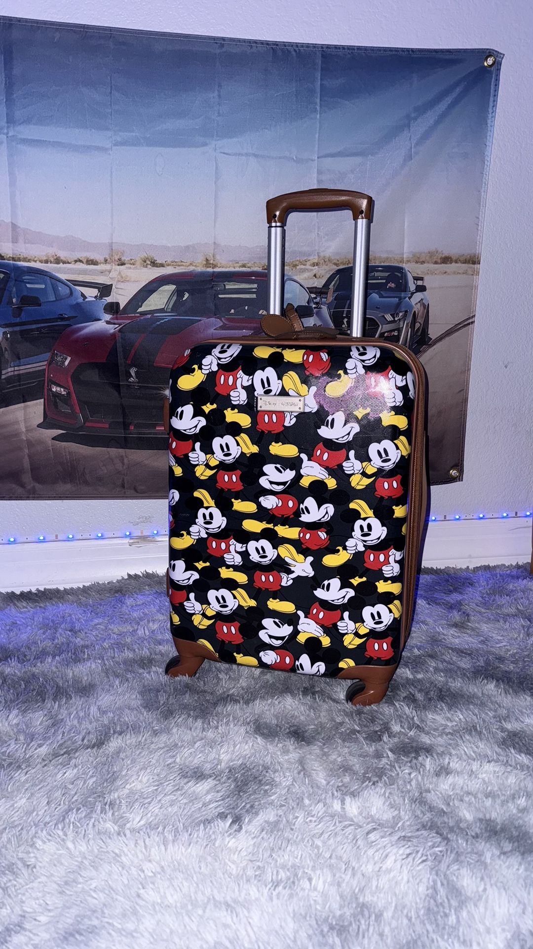 Mickey Mouse Suitcase