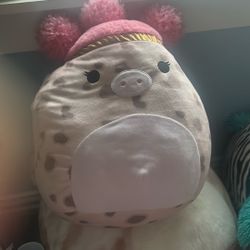 Squish-mellow cute pig! 