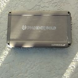 Phoenix Gold Amplifier