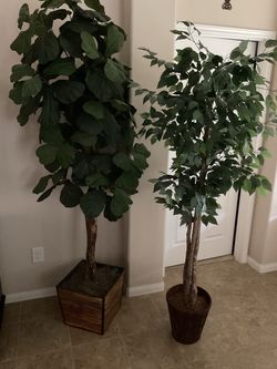 Decorative Trees