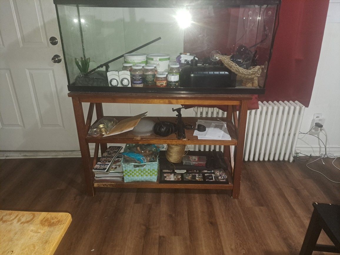 Breaded Dragon Enclosure, Food, And Appliances.