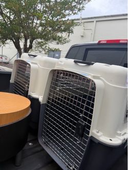 Dog kennel