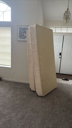 King Support Bed