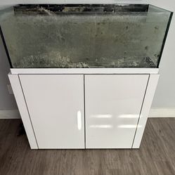 Reef Fish Tank 80 Gal Rimless