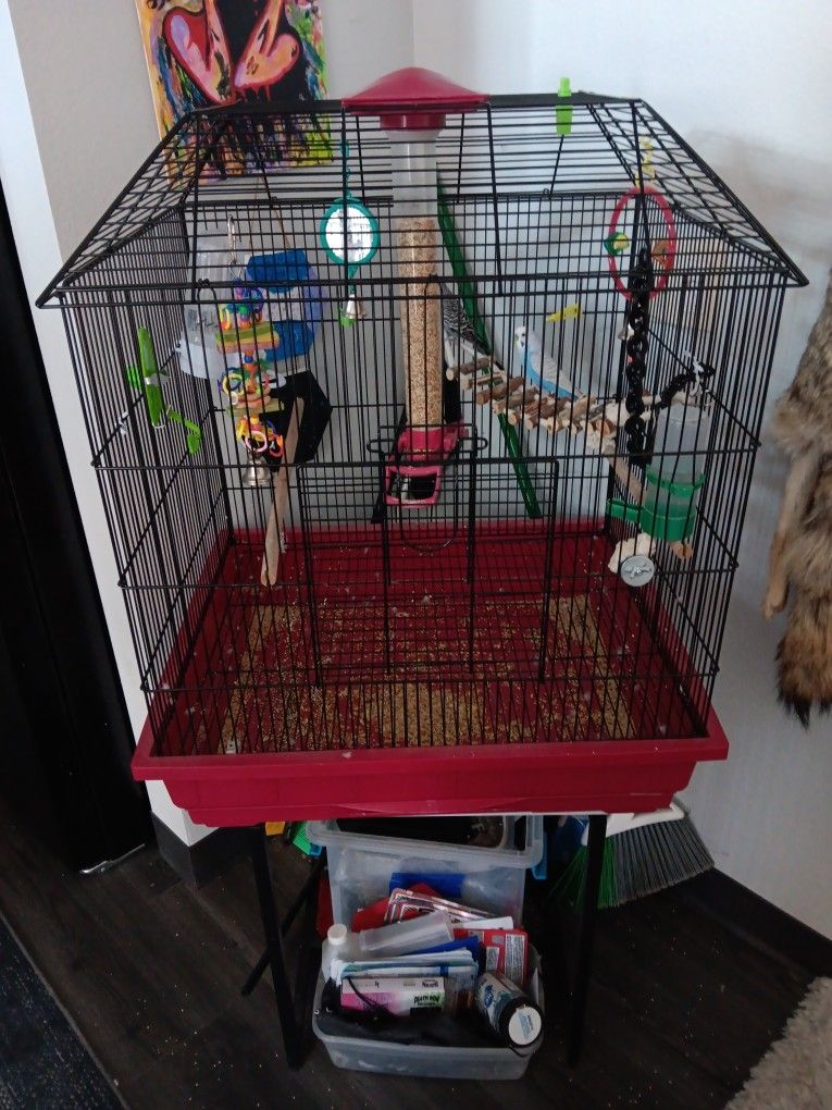 Medium Sized Bird Cage!