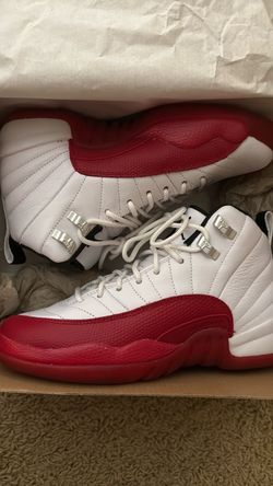 Jordan retro 12