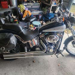 Harley-Davidson  2002 Sofe Tail D