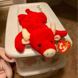 Tabasco The Bull Beanie Baby