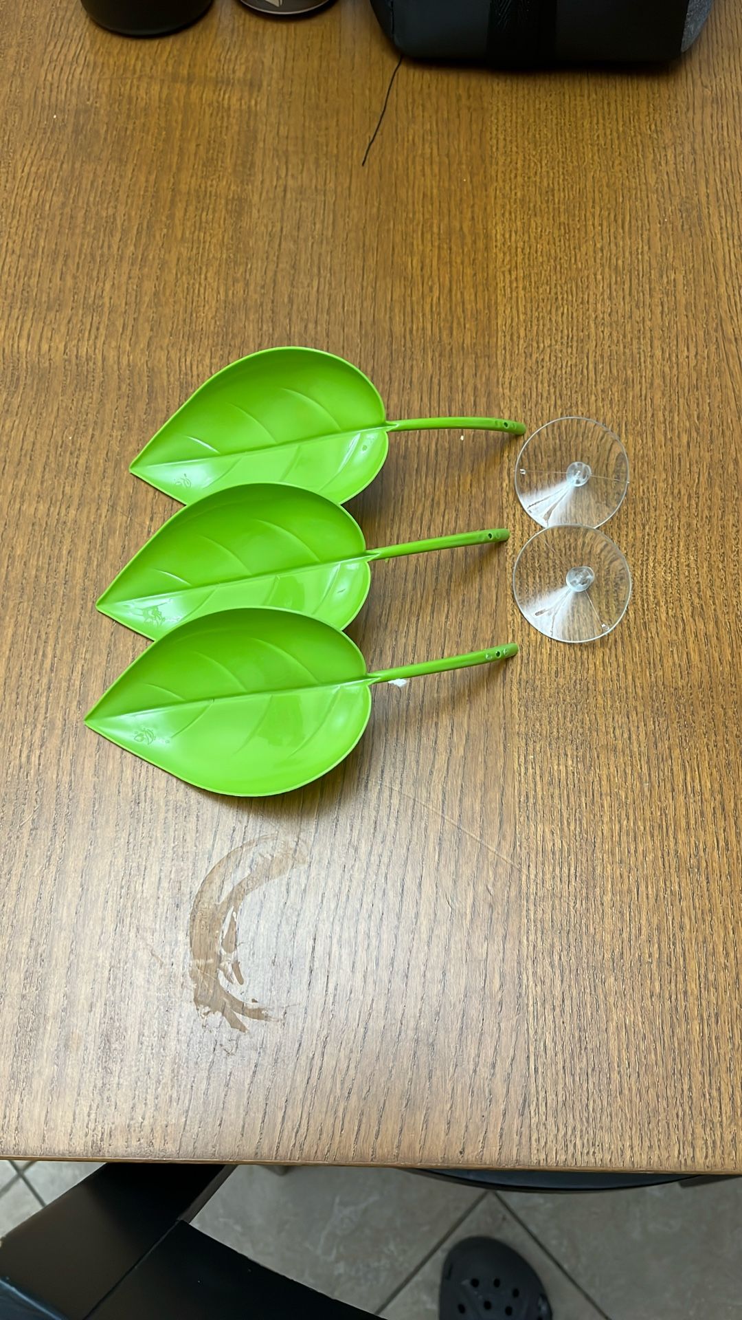 Basking Leafs For Turtle