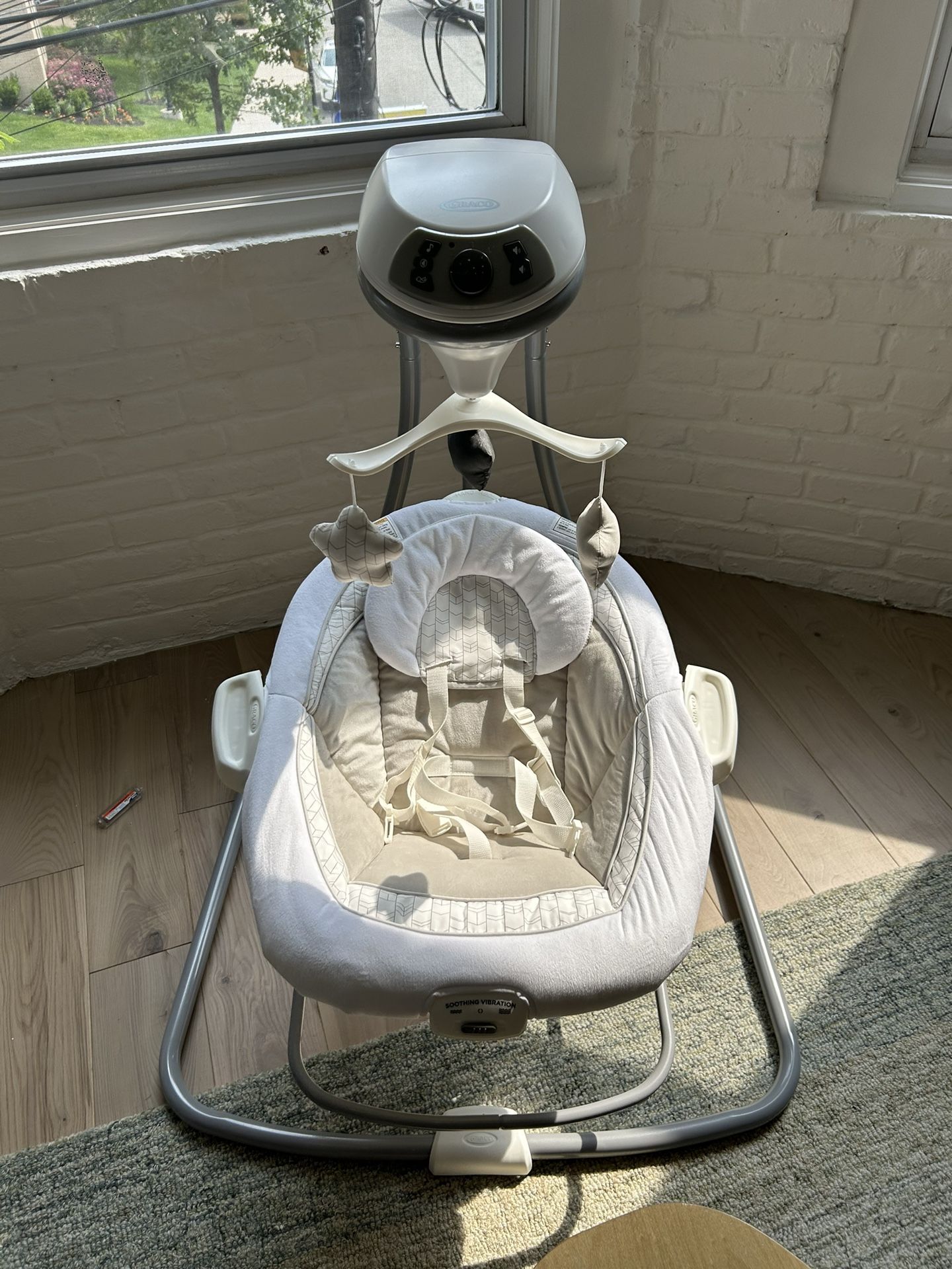 Baby Swing