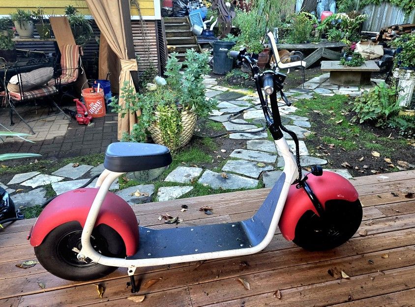 SSR Motorsports SEEV-800 Electric Scooter!