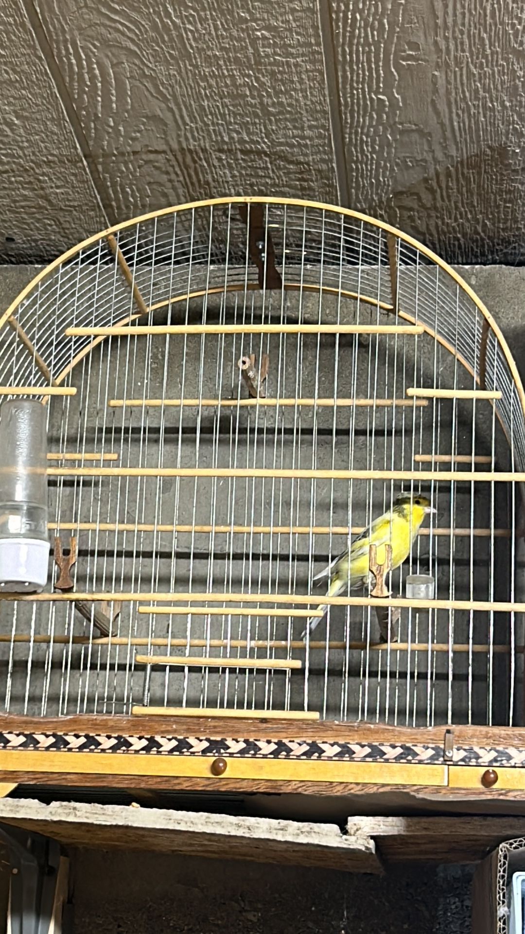 Brazilian wood cages