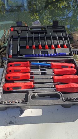 Screwdriver Set with Carrying Case
