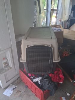 Big dog cage