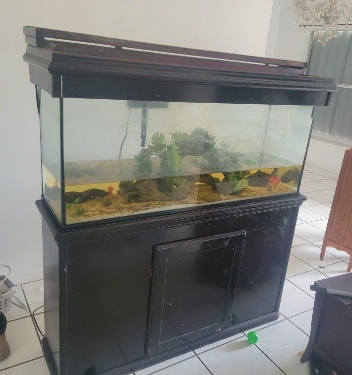 55 Gallon Fish Tank With Stand OBO