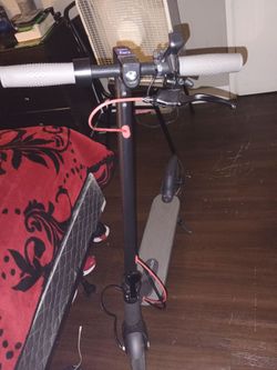 Roinside: E Scooter Adult size
