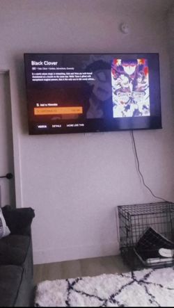65 inch Roku tv