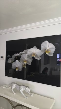 White Orchid Framed Wall Art Print
