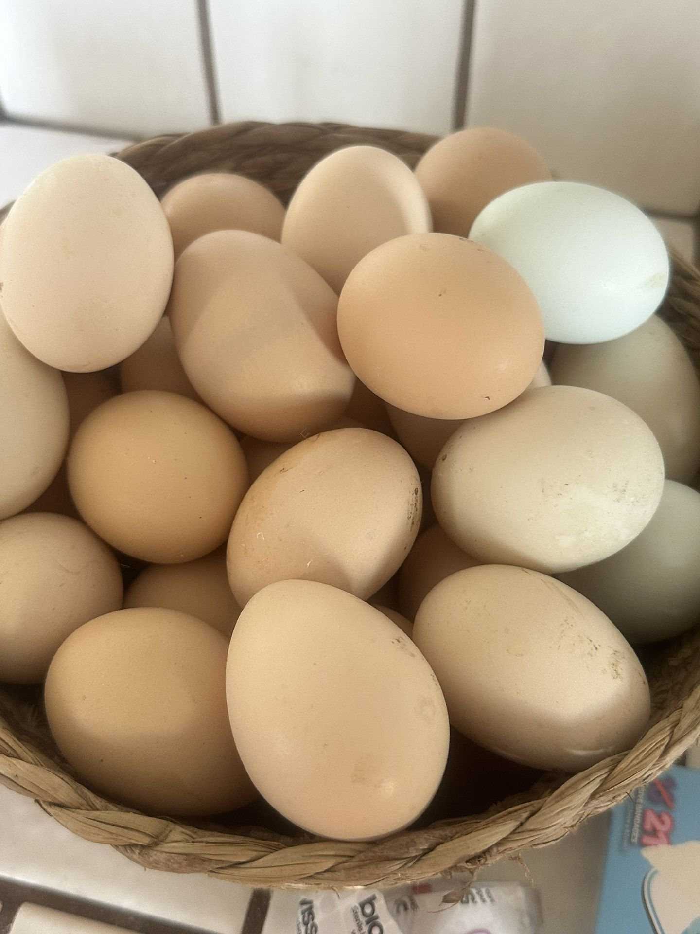 Eggs