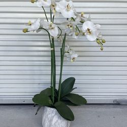 Artificial Plant - Used For Staging Purposes Only 