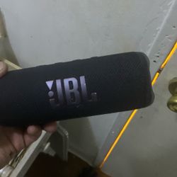 JBL FLIP 6 