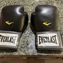Everlast Boxing Gloves 