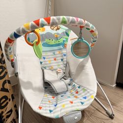 Baby Bouncer 