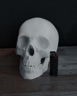 3D Printed Skull 