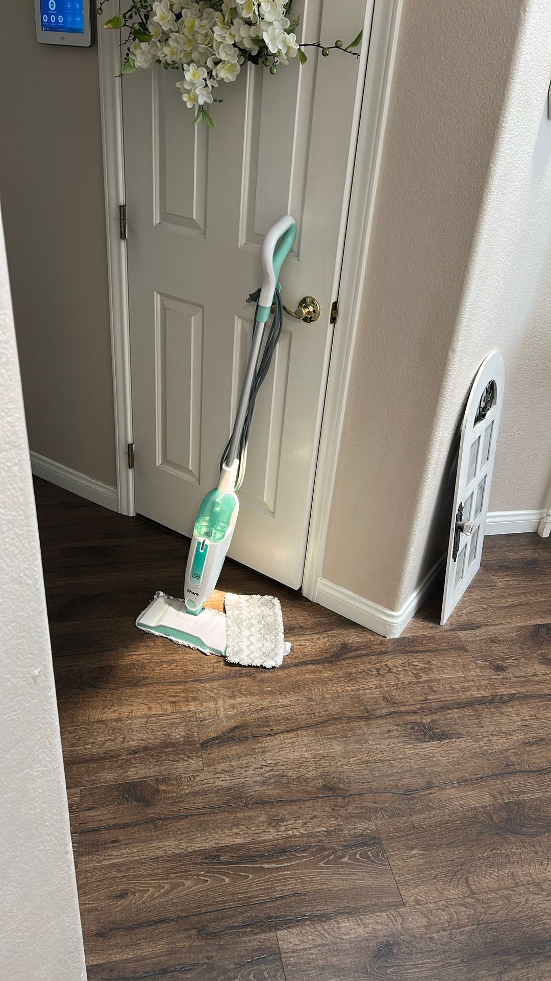 Shark Power Steamer